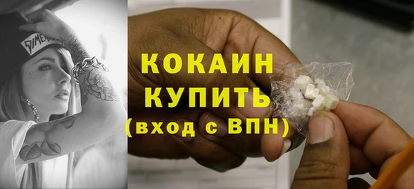 шишки Белоозёрский