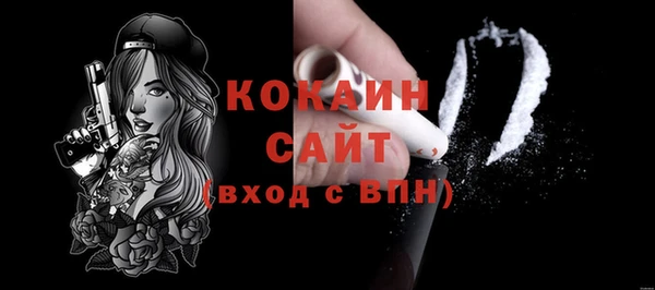 шишки Белоозёрский