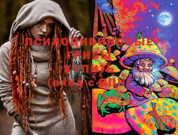 шишки Белоозёрский