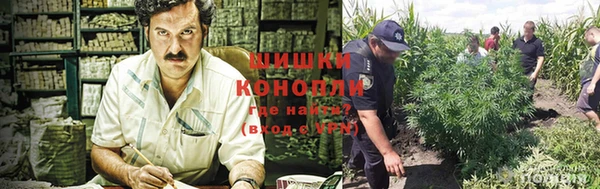 шишки Белоозёрский