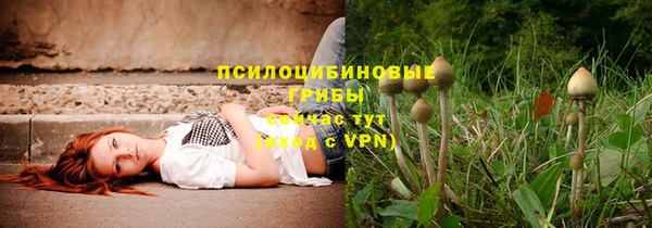 каннабис Белокуриха