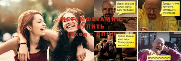 шишки Белоозёрский