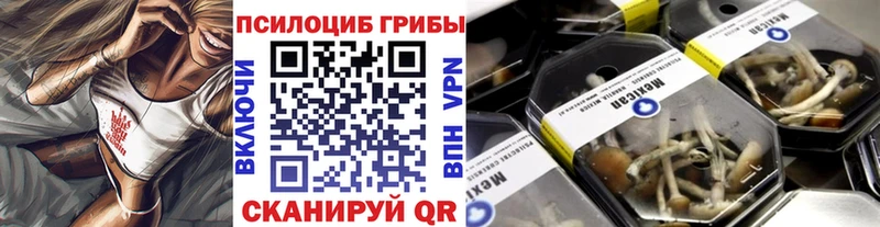 хочу наркоту  Кушва  Галлюциногенные грибы мицелий 